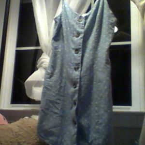 Blue White Spot Dress